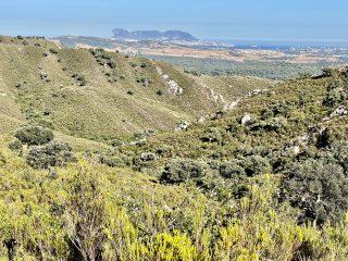 Una bonita finca de 302 has. en el Parque Natural de los Alcornocales con vistas al Estrecho de Gibraltar