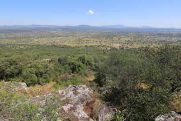 Dehesa de 600 has. en el Parque Natural de Cornalvo (Badajoz)