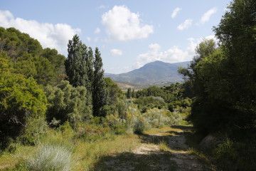Extensive and ecological livestock exploitation in Sierra de Grazalema Natural Park