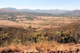 Cork tree farm Luxury Property Premium Seville Andalusia Spain