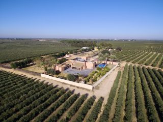 Preciosa finca con instalaciones hípicas, preparada para eventos y con unas 25 has. de olivar súper intensivo en el Entorno de Doñana
