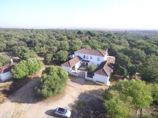 Una agradable casa de finales del SXX dentro de un alcornocal de 13 has. en Arcos de la Frontera