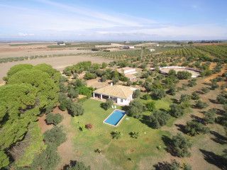 Casa con jardín y piscina, cuadras con boxes y plaza de tientas junto a Sevilla