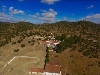 Dehesa ganadera de 800 has a 1 h de Sevilla y Cordoba 1