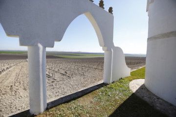 Hacienda con vinedos en jerez 1