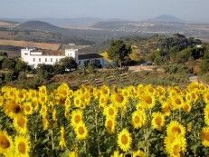 Luxury_premium_property_hacienda_Arcos_de_la_Frontera_Cadiz_Seville_Andalusia_Spain