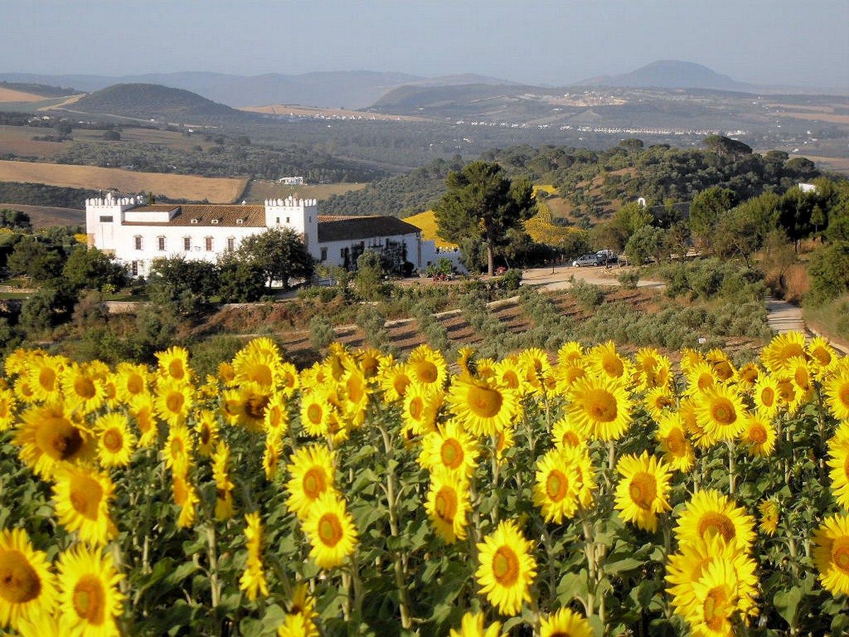 Luxury properties Jerez Luxury_premium_property_hacienda_Arcos_de_la_Frontera_Cadiz_Seville_Andalusia_Spain