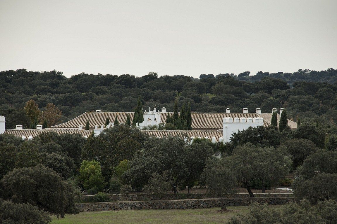 1-000-has-cattle-farm-with-an-outstanding-house-50-drive-from-seville