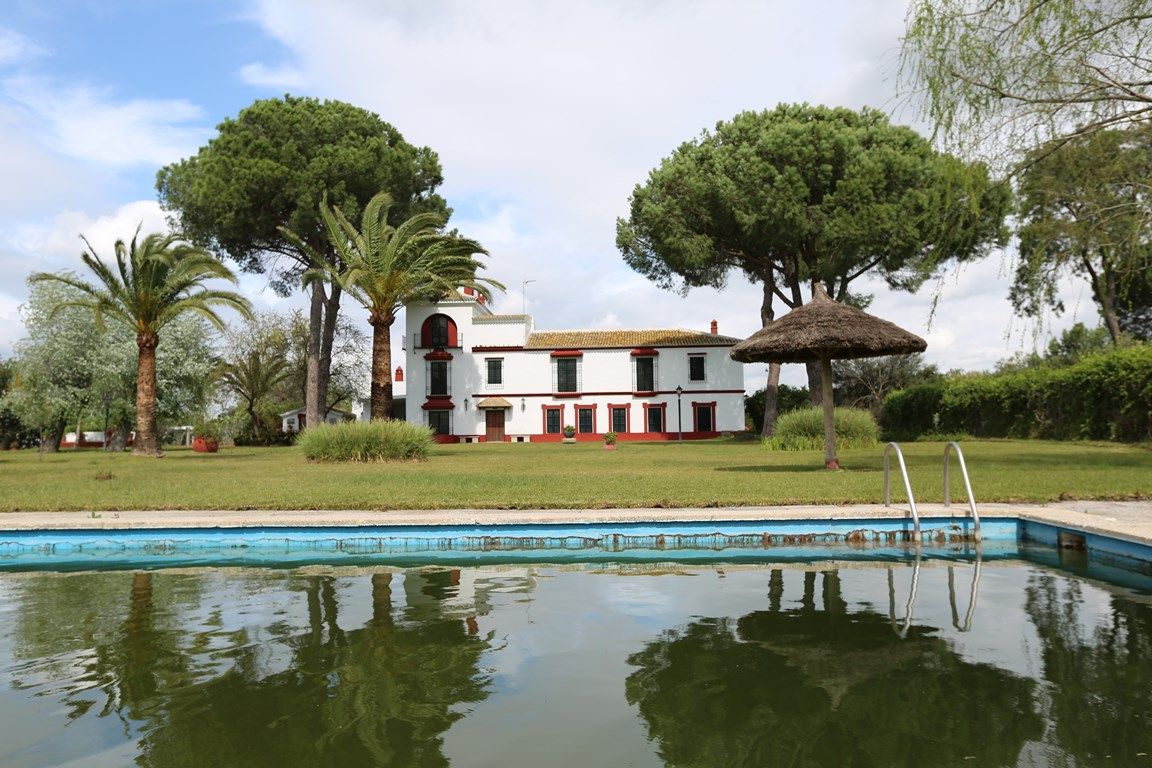 casa de lujo en el parque de doñana huelva 2
