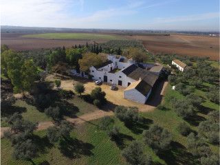 cortijo de lujo sevilla