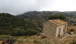 coto de caza mayor en ronda