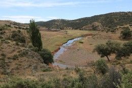 coto de caza mayor sierra morena