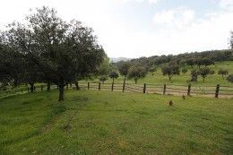 finca de lujo al norte de Sevilla en plena sierra