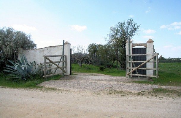galleria_Cottage_Donana_Do_ana_National_Park_Seville_Andalusia_Spain_Luxury__16_