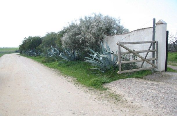 galleria_Cottage_Donana_Do_ana_National_Park_Seville_Andalusia_Spain_Luxury__17_