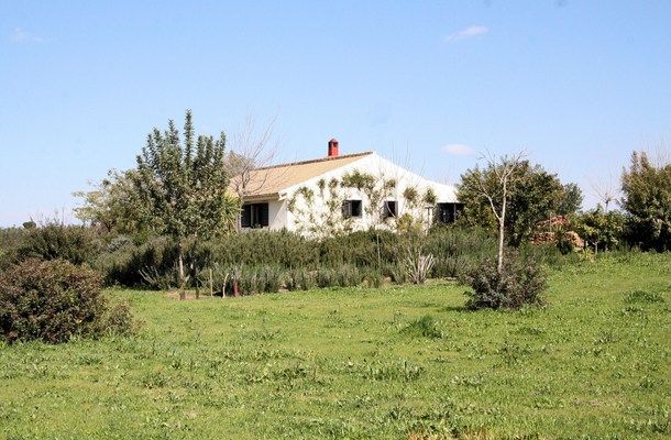 galleria_Cottage_Donana_Do_ana_National_Park_Seville_Andalusia_Spain_Luxury__2_