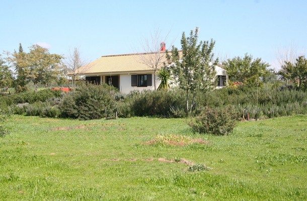 galleria_Cottage_Donana_Do_ana_National_Park_Seville_Andalusia_Spain_Luxury__3_