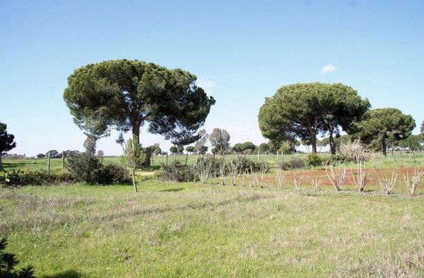 galleria_Cottage_Donana_Do_ana_National_Park_Seville_Andalusia_Spain_Luxury__4_