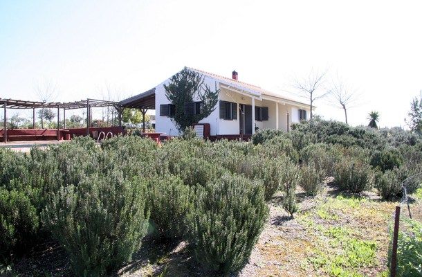 galleria_Cottage_Donana_Do_ana_National_Park_Seville_Andalusia_Spain_Luxury__5_