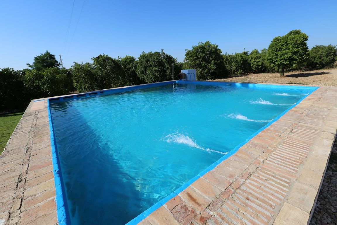 Luxury_property_premium_villa_cortijo_Lora_del_Rio_Seville_Andalusia_Spain 14