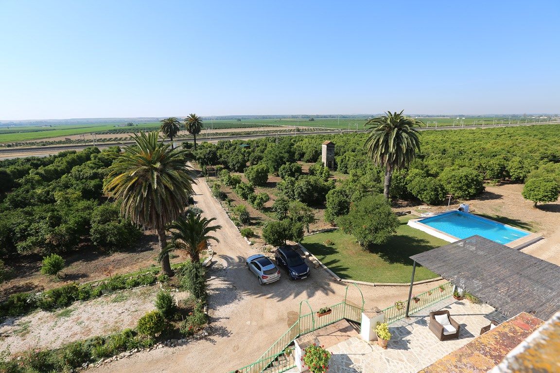 Luxury_property_premium_villa_cortijo_Lora_del_Rio_Seville_Andalusia_Spain 16