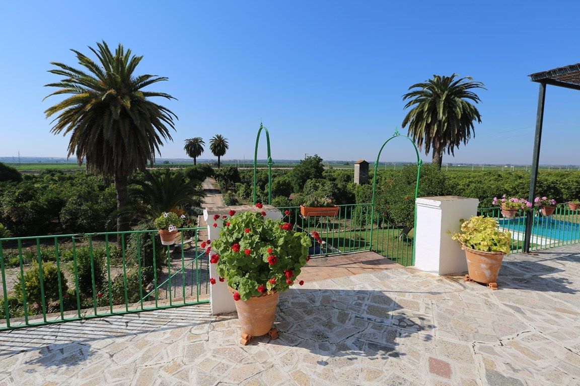 Luxury_property_premium_villa_cortijo_Lora_del_Rio_Seville_Andalusia_Spain 17