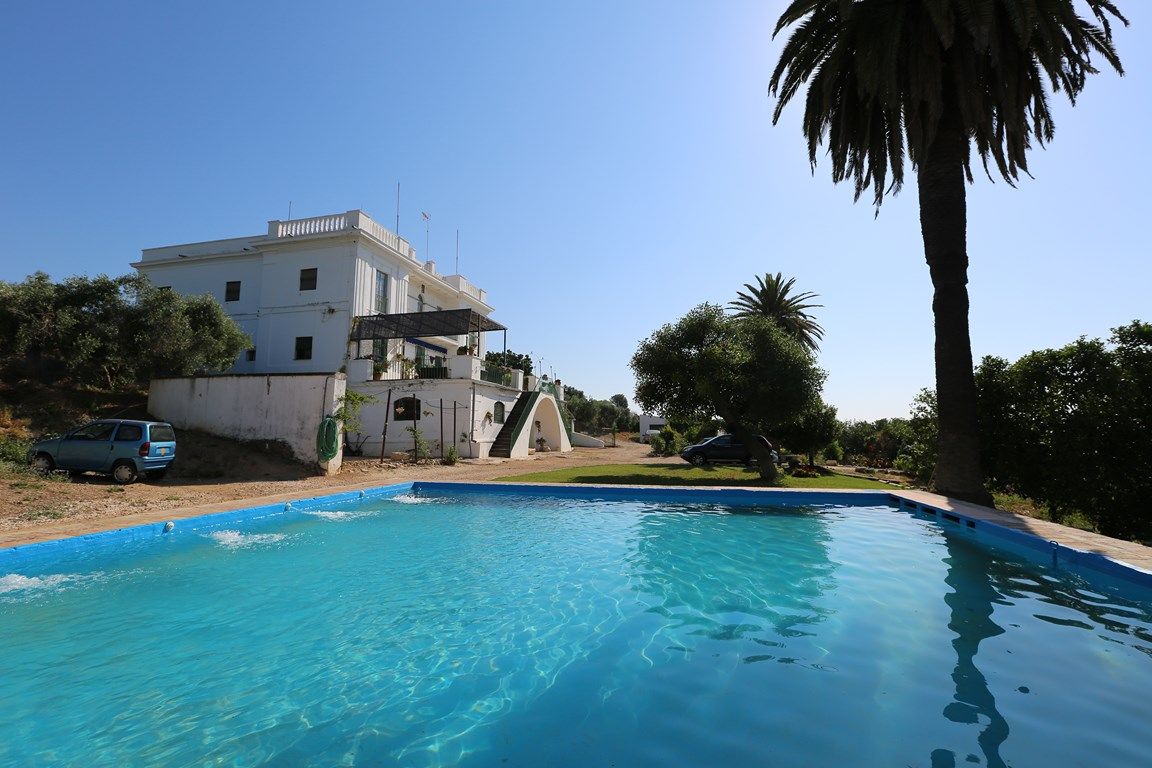 Luxury_property_premium_villa_cortijo_Lora_del_Rio_Seville_Andalusia_Spain 2