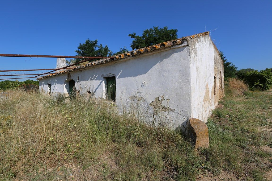 Luxury_property_premium_villa_cortijo_Lora_del_Rio_Seville_Andalusia_Spain 3