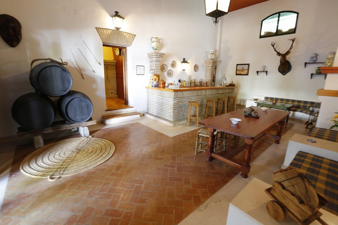 Luxury_property_premium_villa_cortijo_hacienda_Seville_Andalusia_Spain 14