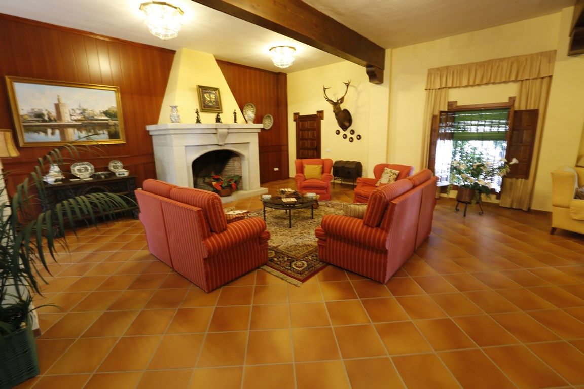Luxury_property_premium_villa_cortijo_hacienda_Seville_Andalusia_Spain 20