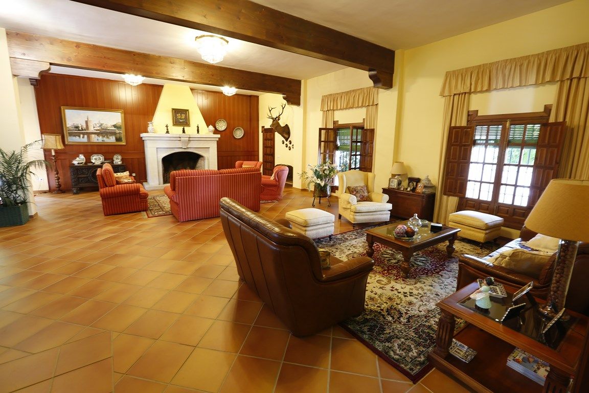 Luxury_property_premium_villa_cortijo_hacienda_Seville_Andalusia_Spain 22