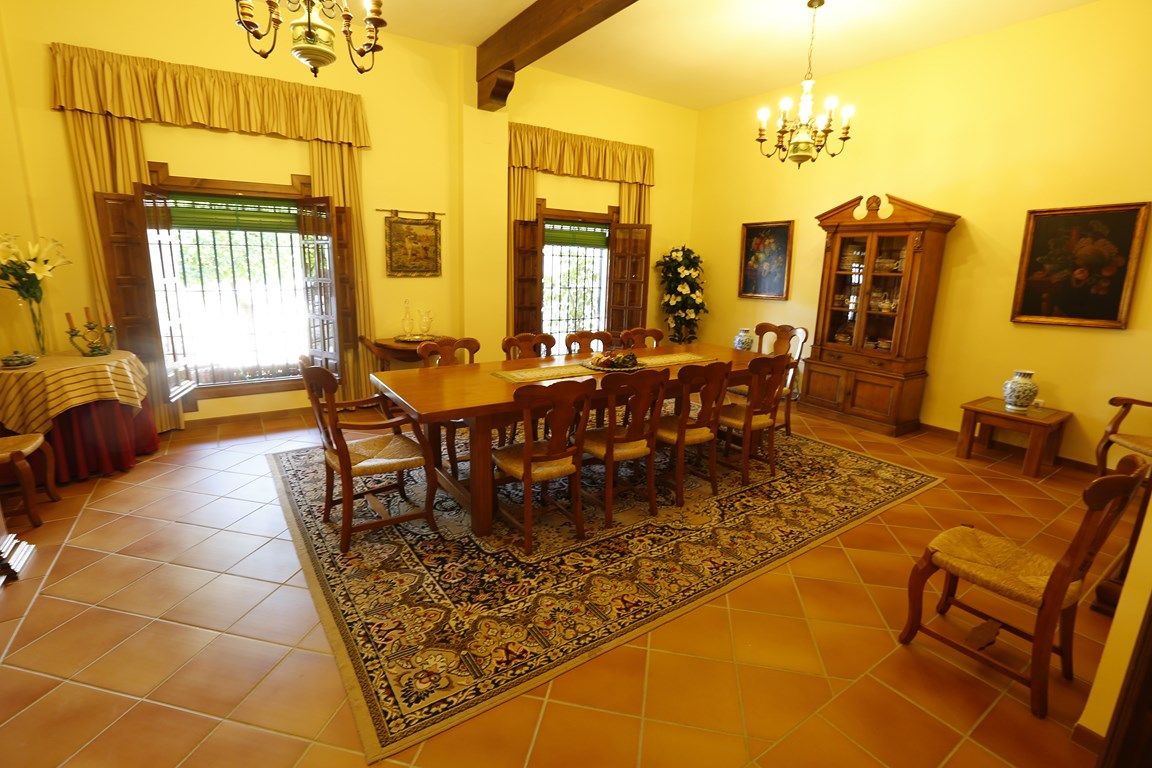 Luxury_property_premium_villa_cortijo_hacienda_Seville_Andalusia_Spain 8