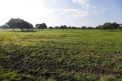 Una gran finca de 2.700 has en Sevilla