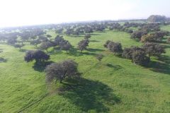 Una gran finca de 2.700 has en Sevilla