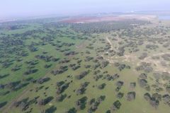 Una gran finca de 2.700 has en Sevilla