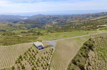 En la llamada Alpujarra Media, al sur de Sierra Nevada, en lo alto de un cerro, a 1.400 m de altitud se encuentra esta bodega