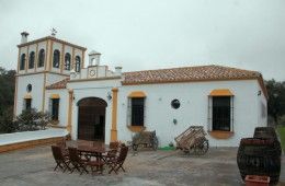 galleria_IMG_0177__Copiar_
