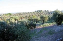 galleria_Luxury_property_villa_Seville_Andalusia_Spain__7_