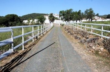 galleria_XVIII_th_century_Hacienda_Luxury_Equestrian_farm_Seville_Andalusia_Spain__2_